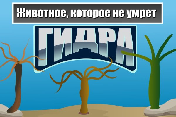 Кракен не грузит
