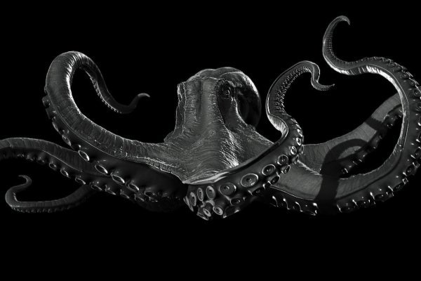 Kraken ссылка kraken torion